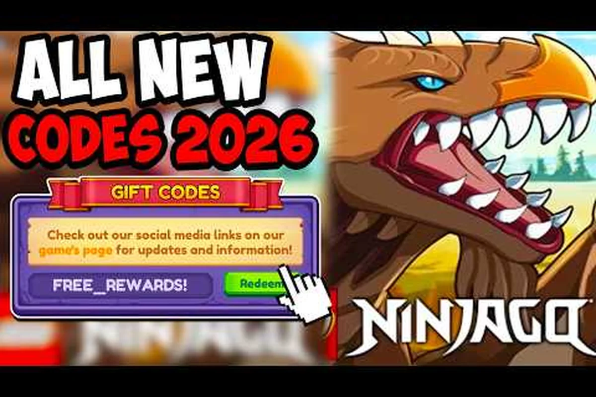 Dragon Adventures Codes Dezember 2022: November & Mehr